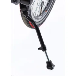 Alpina Yabber 20" drengecykel med fodbremse - m�rkegr�n/sort