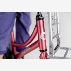 Alpina Cargo 16" pigecykel med fodbremse, frontlad - berry r�d