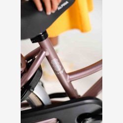 Alpina Cargo 22" pigecykel med fodbremse, frontlad - gammelrosa