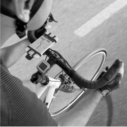 Celly Phone Holder Universal sort