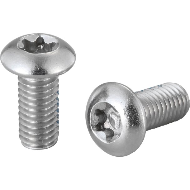 DS Elvedes bremseskive Bolts Rustfrit stl (100)