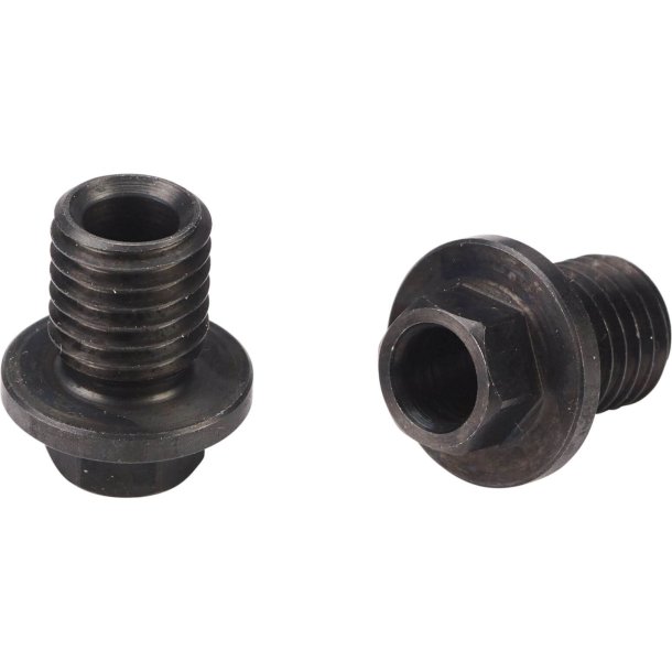 DS Elvedes Flange bolt M9 (10)