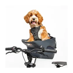 Kvisp hundekurv til cykel, med sele S - midnatsgr