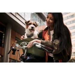 Kvisp hundekurv til cykel, med sele M - skovgrn