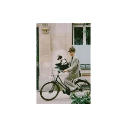 Kvisp hundekurv til cykel, med sele S - midnatsgr