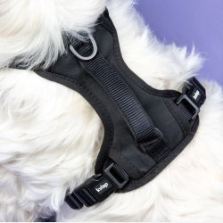 Kvisp Bike-and-Walk sikkerhedssele til hund strrelse S sort