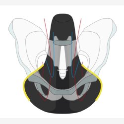 Cykelsadel Wittkop Twin Medicus 3.0 gel City/Trekking - sort