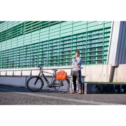 New Looxs brbar cykeltaske Cali i lder cognac 17L 15 tommer