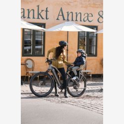 Thule Yepp 2 Maxi barnestol - fennikel tan