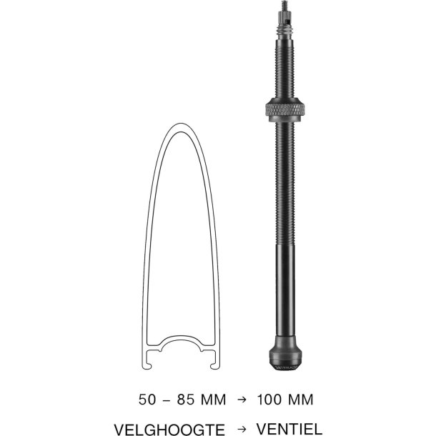 Schwalbe Ventile TUBELESS 100 mm St 2 stykker