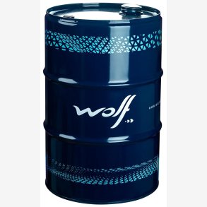 MOTOROLIE 5W20 60L