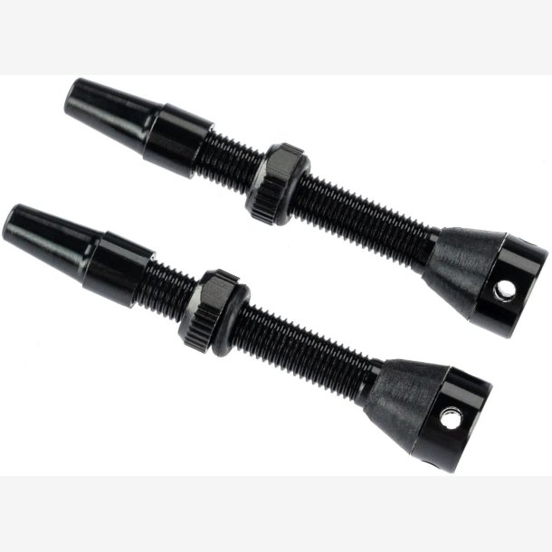 Tubeless Ventil Brave