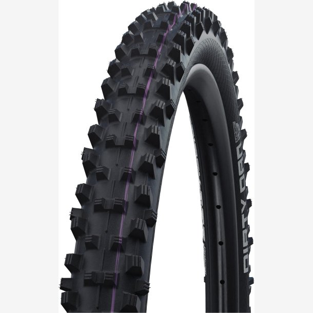 D�k Schwalbe Dirty Dan