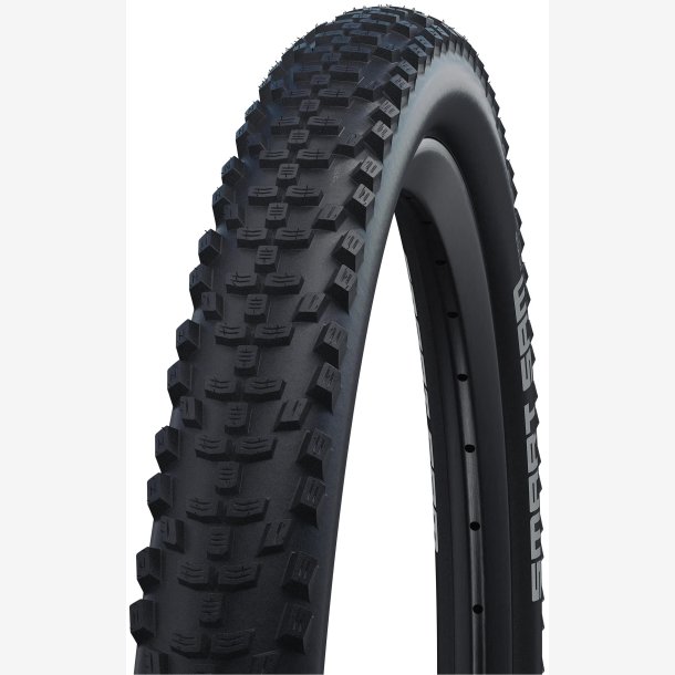 D�k Schwalbe Smart Sam