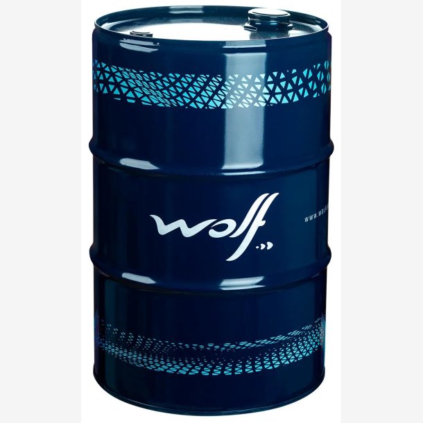 MOTOROLIE 5W30 60L