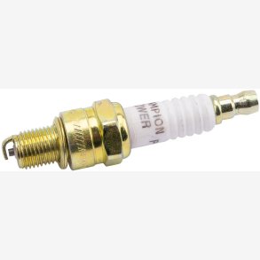 SLUTLYS P-RZ7HC CHAMPI