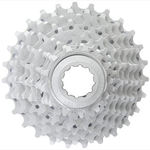 CA.SPROCKET MICHE PRIMATO