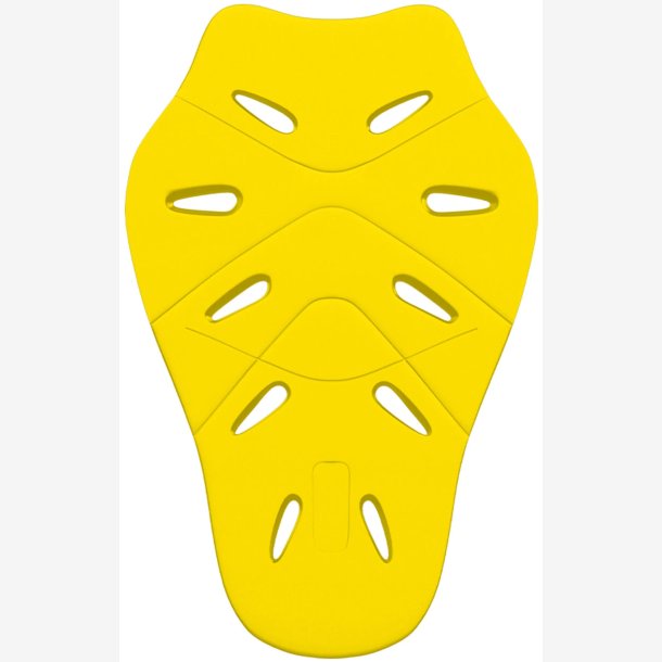 RYGBESKYTTER LS2