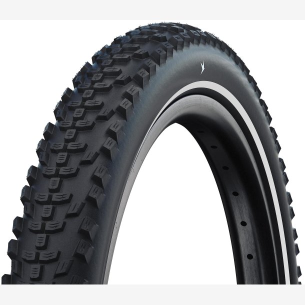 D�k Schwalbe Smart Sam