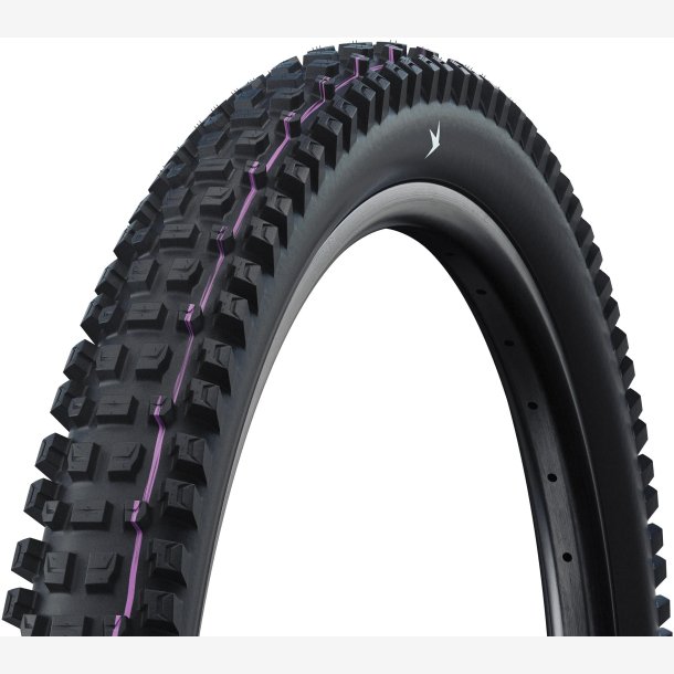 D�k Schwalbe Albert Pro