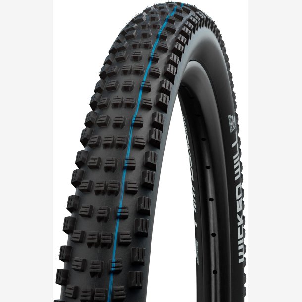 D�k Schwalbe Wicked Will