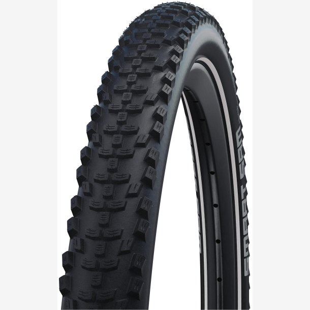 D�k Schwalbe Smart Sam