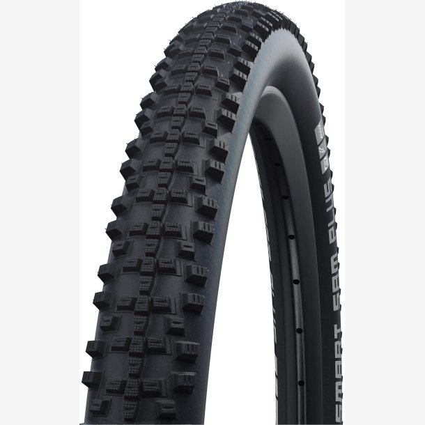 D�k Schwalbe Smart Sam