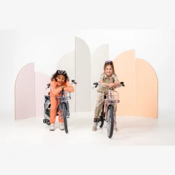 Alpina Clubb 20" pigecykel med fodbremse og frontlad - Rose Gold