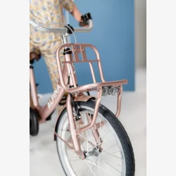 Alpina Clubb 22" pigecykel med fodbremse og frontlad - Rose Gold