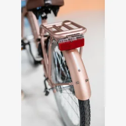 Alpina Clubb 22" pigecykel med fodbremse og frontlad - Rose Gold