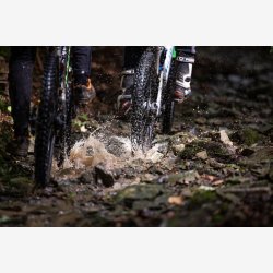 Drivrem Gates CDX Carbon Drive 122T - sort/bl�