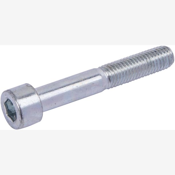 SKRUER M10X65 MM
