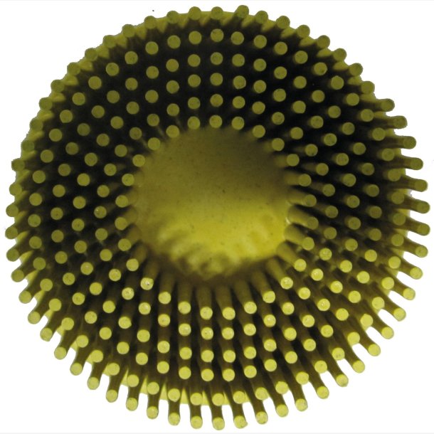 B�RSTESKIVE GUL 50MM