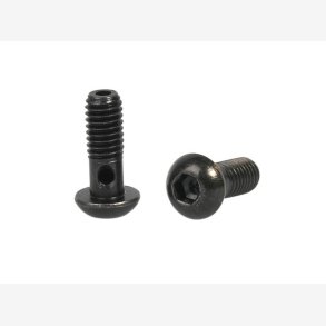 Elvedes 2 banjobolte M6