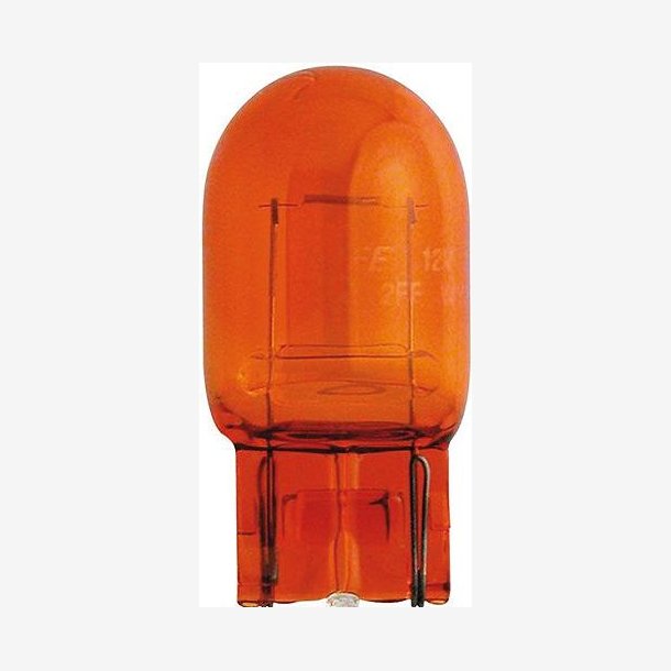 GLASFOTELAMPER 12V 21W