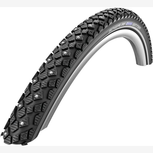 D�k Schwalbe vinter