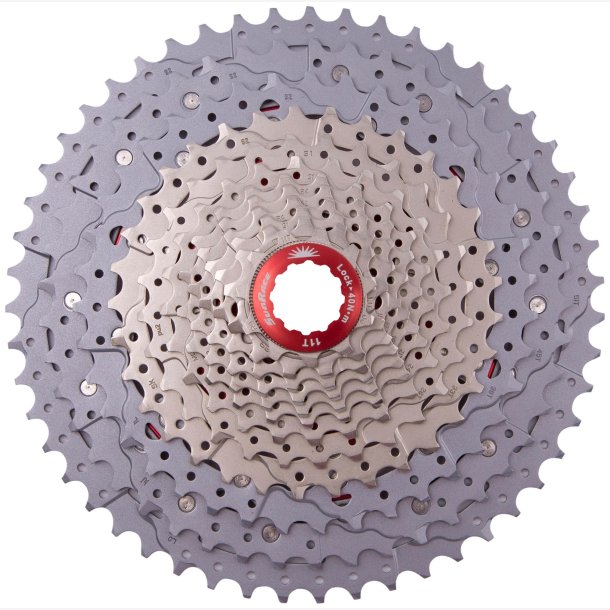 CAS.SPROCKET SUNRACE