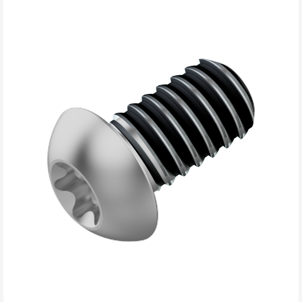 Fahrwerker bremseskivebolt M5x10 LEV tl (120 stk.)