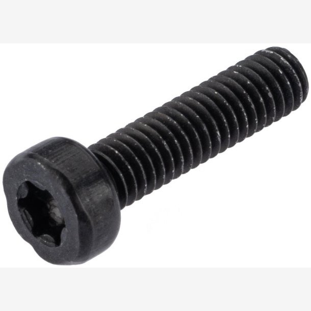SKRUE BOSCH M4X16