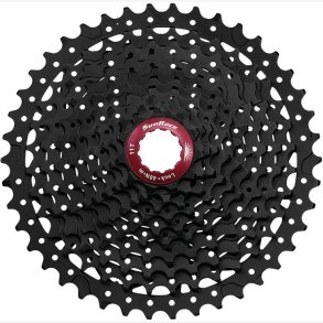 CAS.SPROCKET SUNRACE