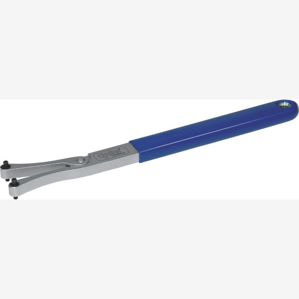 Cyclus Fase-N�gle