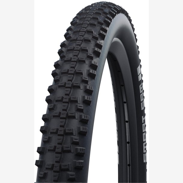 D�k Schwalbe Smart Sam