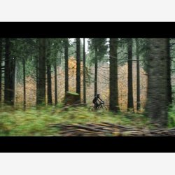 Drivrem Gates CDC Carbon Drive 130T - sort