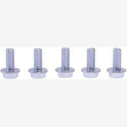 Simson skrmbolte med mtrikker M5x12mm (5x)