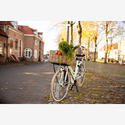 Frontlad Steco Transport 26/28" - 30*30 cm - Sort