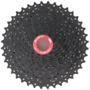 CAS.SPROCKET SUNRACE
