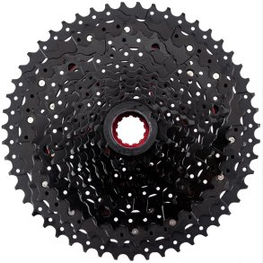 CAS.SPROCKET SUNRACE