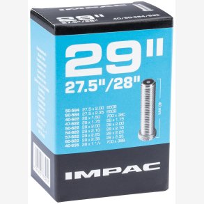 R�R 29