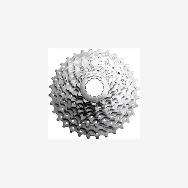 CAS.SPROCKET SUNRACE