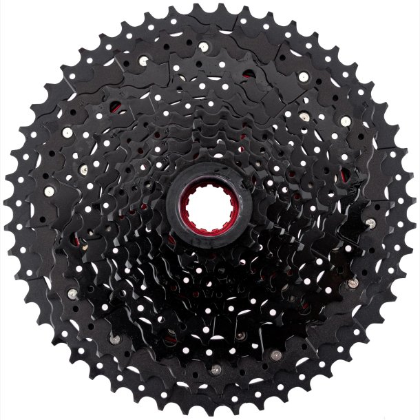 CAS.SPROCKET SUNRACE